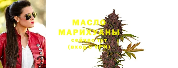 прущие грибы Няндома