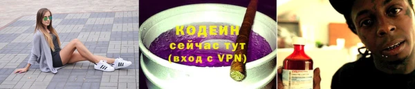 прущие грибы Няндома