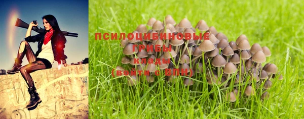 ALPHA-PVP Новодвинск