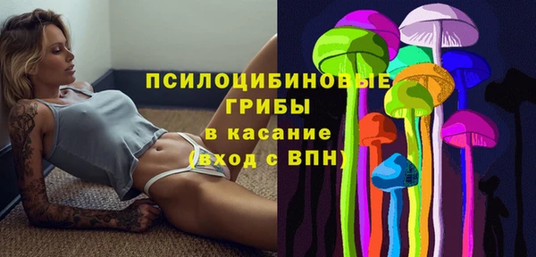 прущие грибы Няндома