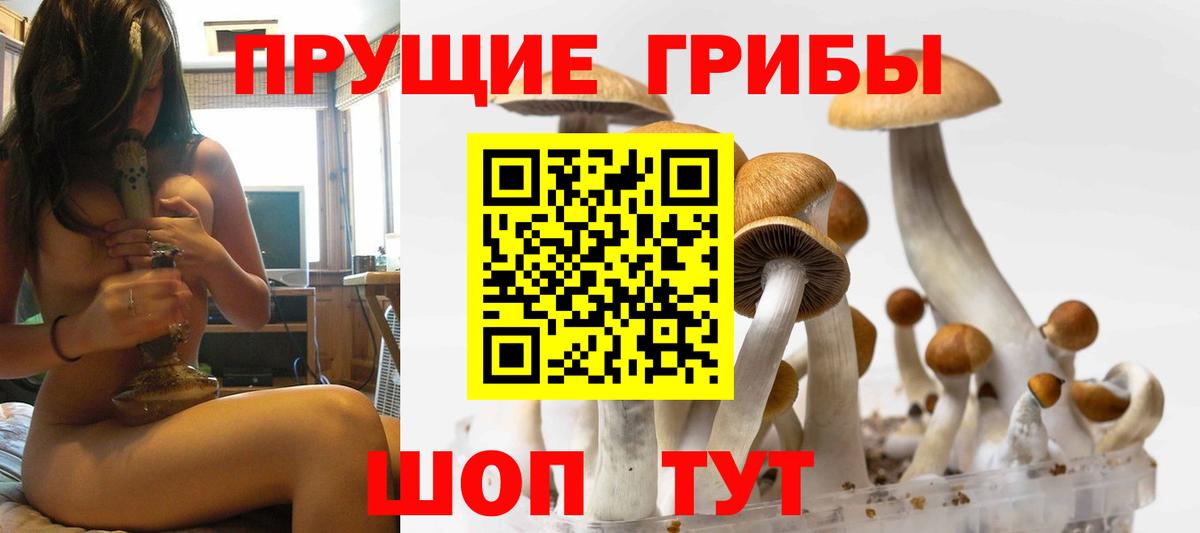 Кириши  Галлюциногенные грибы прущие грибы  Галлюциногенные грибы Magic Shrooms  Вход с VPN 